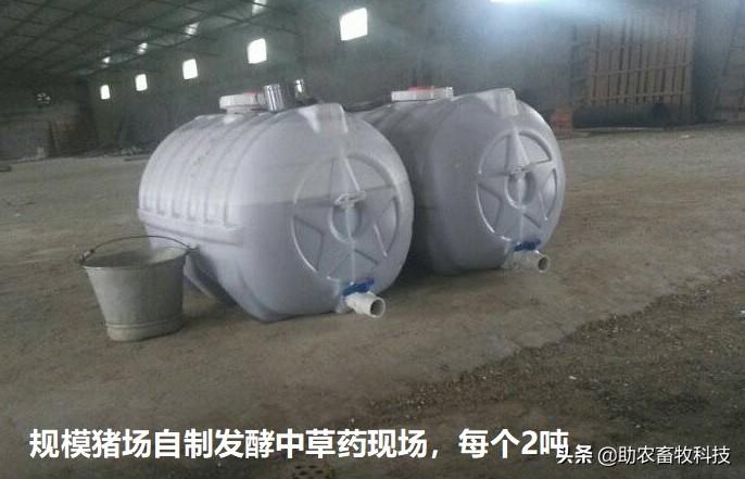 非洲猪瘟采用中草药的配方和运用方法推荐