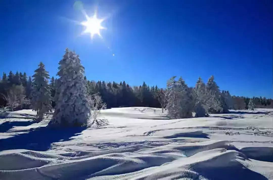 全国各地的特产带货,全国各地特产礼品有哪些