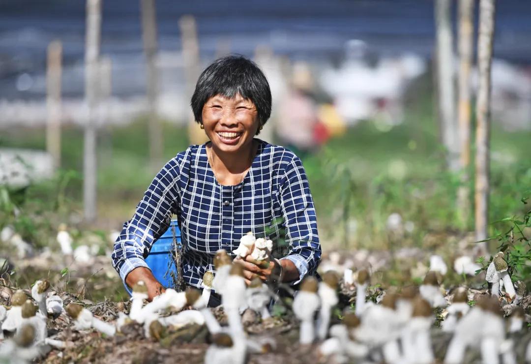 澶栧褰㈣薄鍐呬慨姘旇川,鍐呮彁淇吇澶栨彁褰㈣薄
