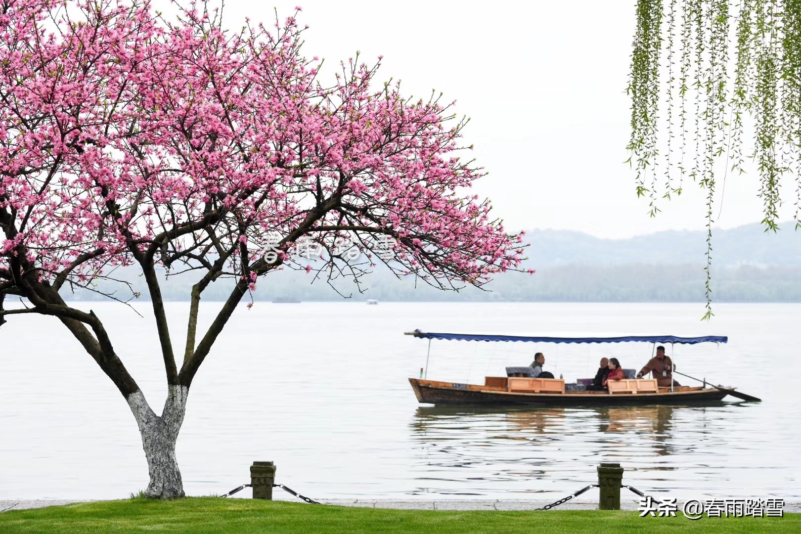 西湖十景苏堤春晓,西湖十景最美的是哪个