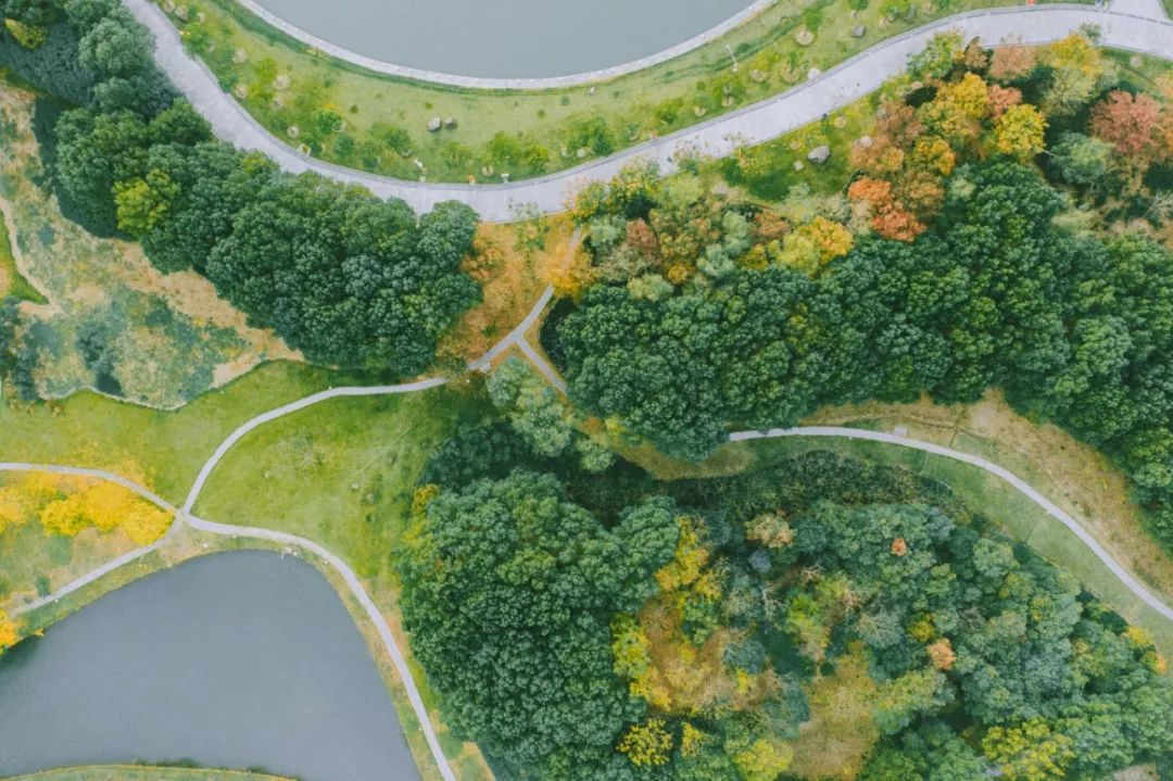 你一定没见过这样的新中式,东方绿舟特点