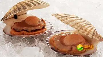 舟山海鲜攻略2天3晚吃什么,舟山海鲜代加工攻略