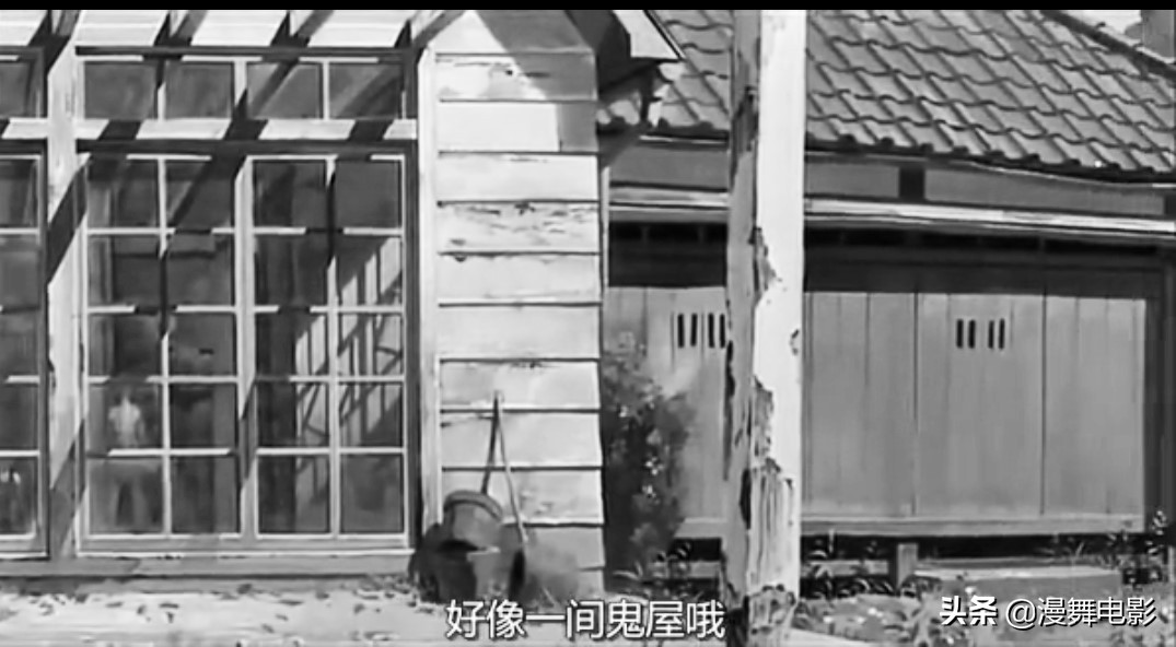 关于龙猫的恐怖解读,暗黑系龙猫解读