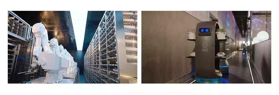 海底捞骗人的钱是真的吗,海底捞在亏钱吗