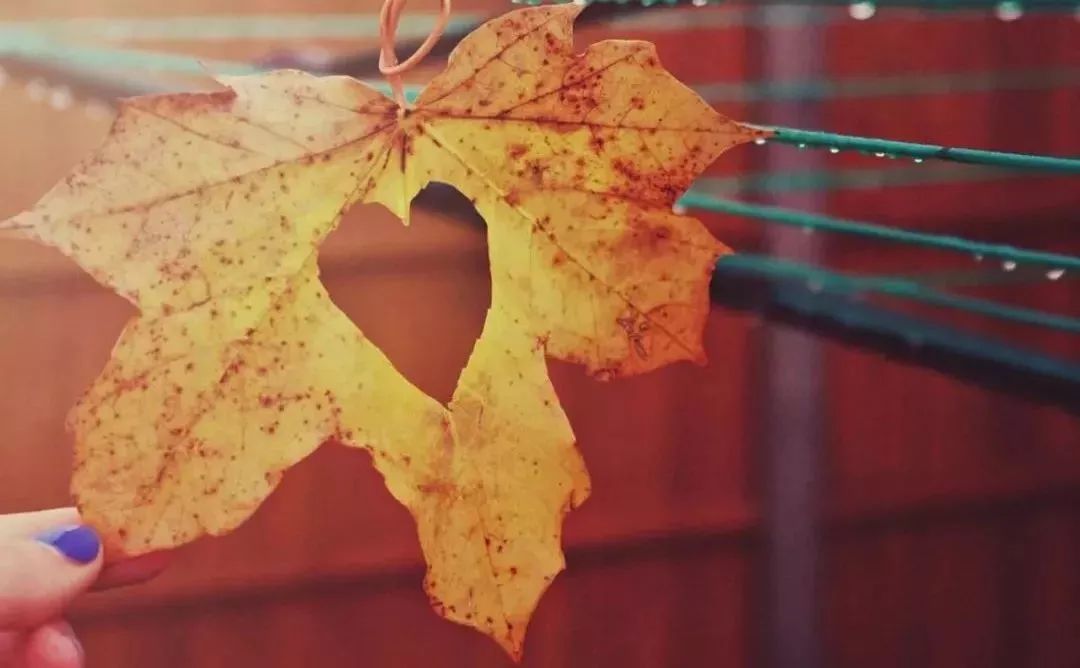 听诗歌朗诵感受,听诗歌朗读