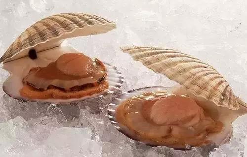 吃海鲜禁忌十大最好吃的海鲜,海鲜虽美味但这几类人一定要少吃