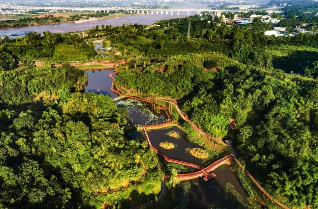 庆祝新中国成立70周年新闻报道,庆祝新中国成立70周年特辑宣讲