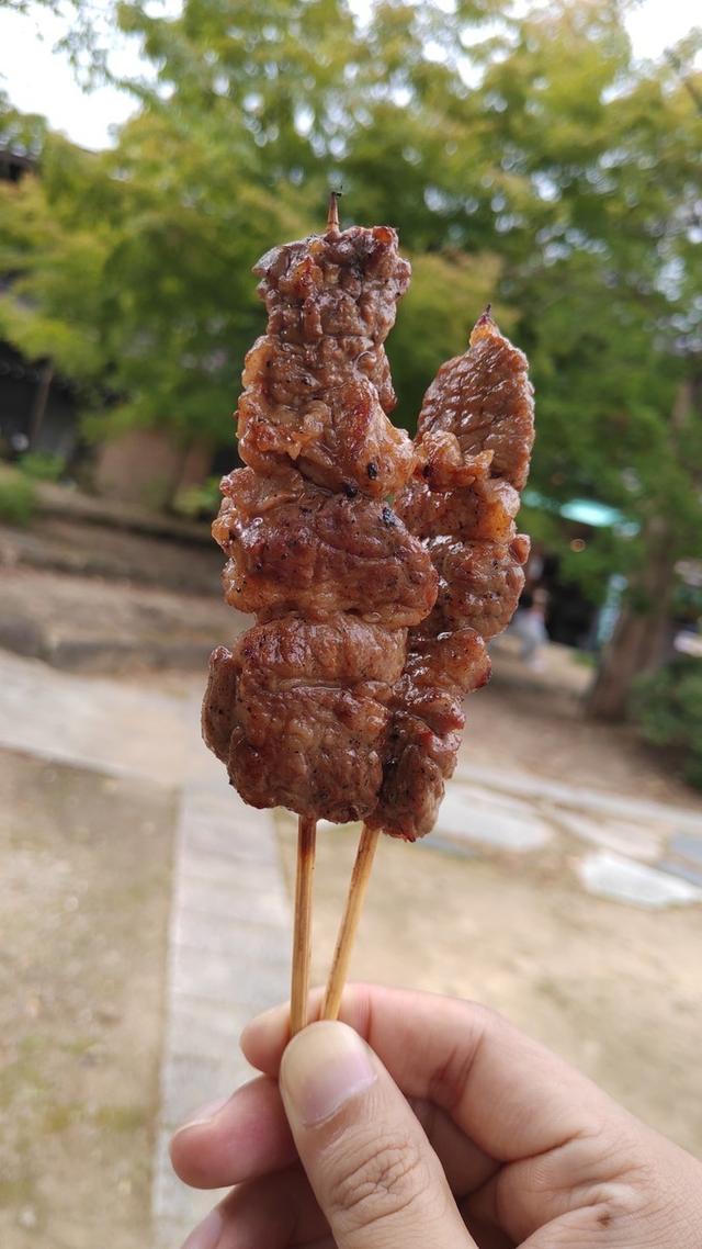 景点打卡日本名古屋乐高公园,日本名古屋乐高公园