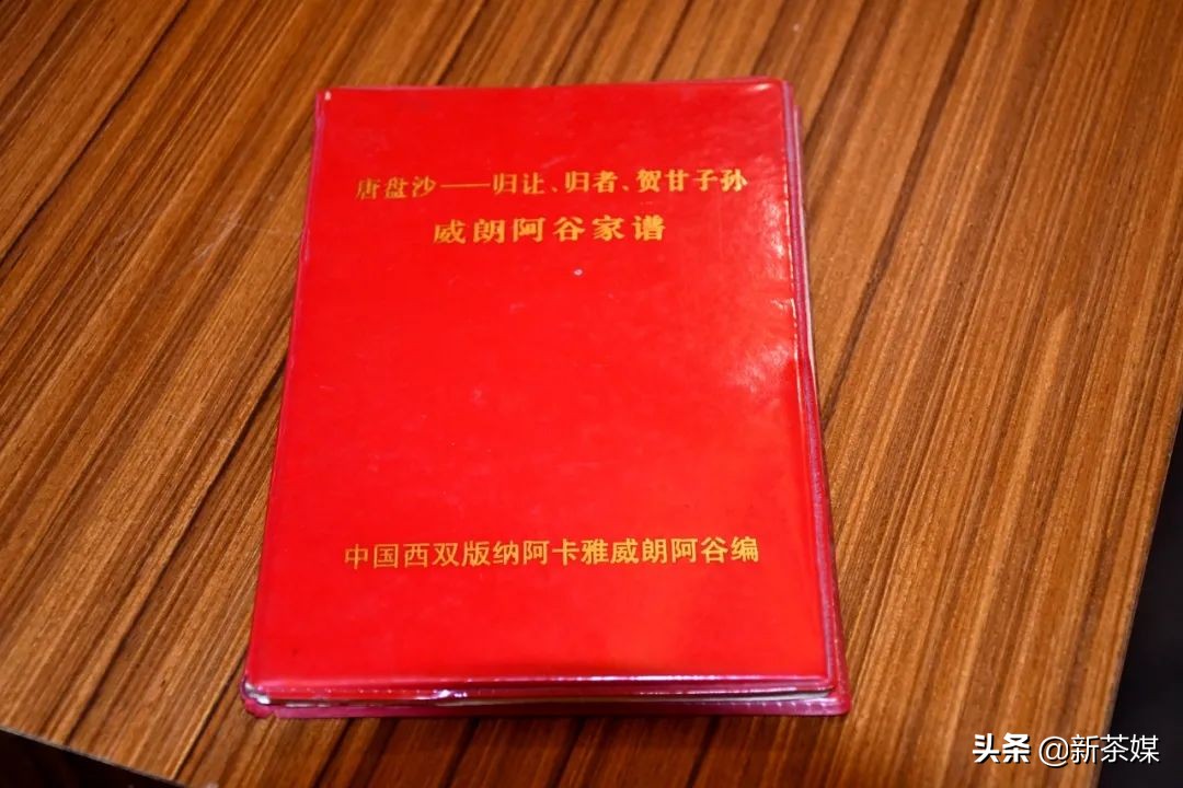 南糯山茶树王咋走,南糯山普洱茶茶树王