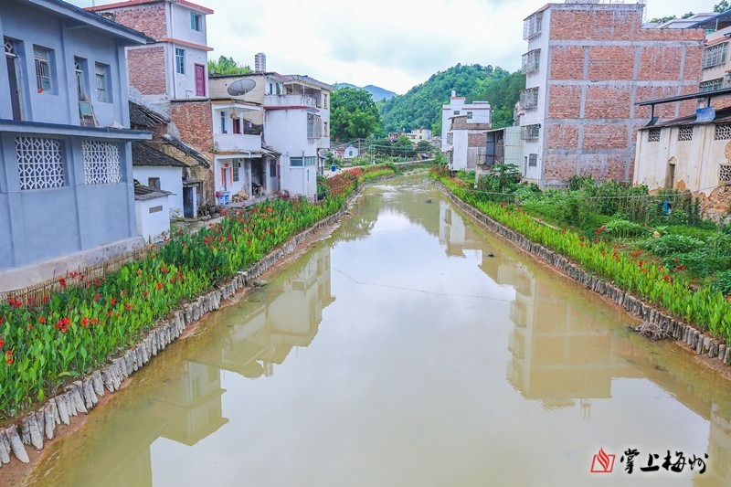 山下红色“讲古”，山上绿色“品茗”！脱贫奔康，梅州大埔这里风景独好