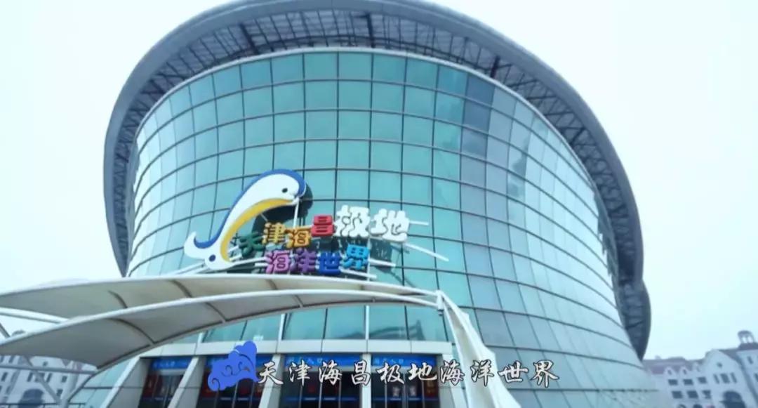 天津旅游滨海新区美食,天津滨海美食推荐