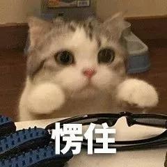 疫情期间，我家猫却发情了，我该怎么办？