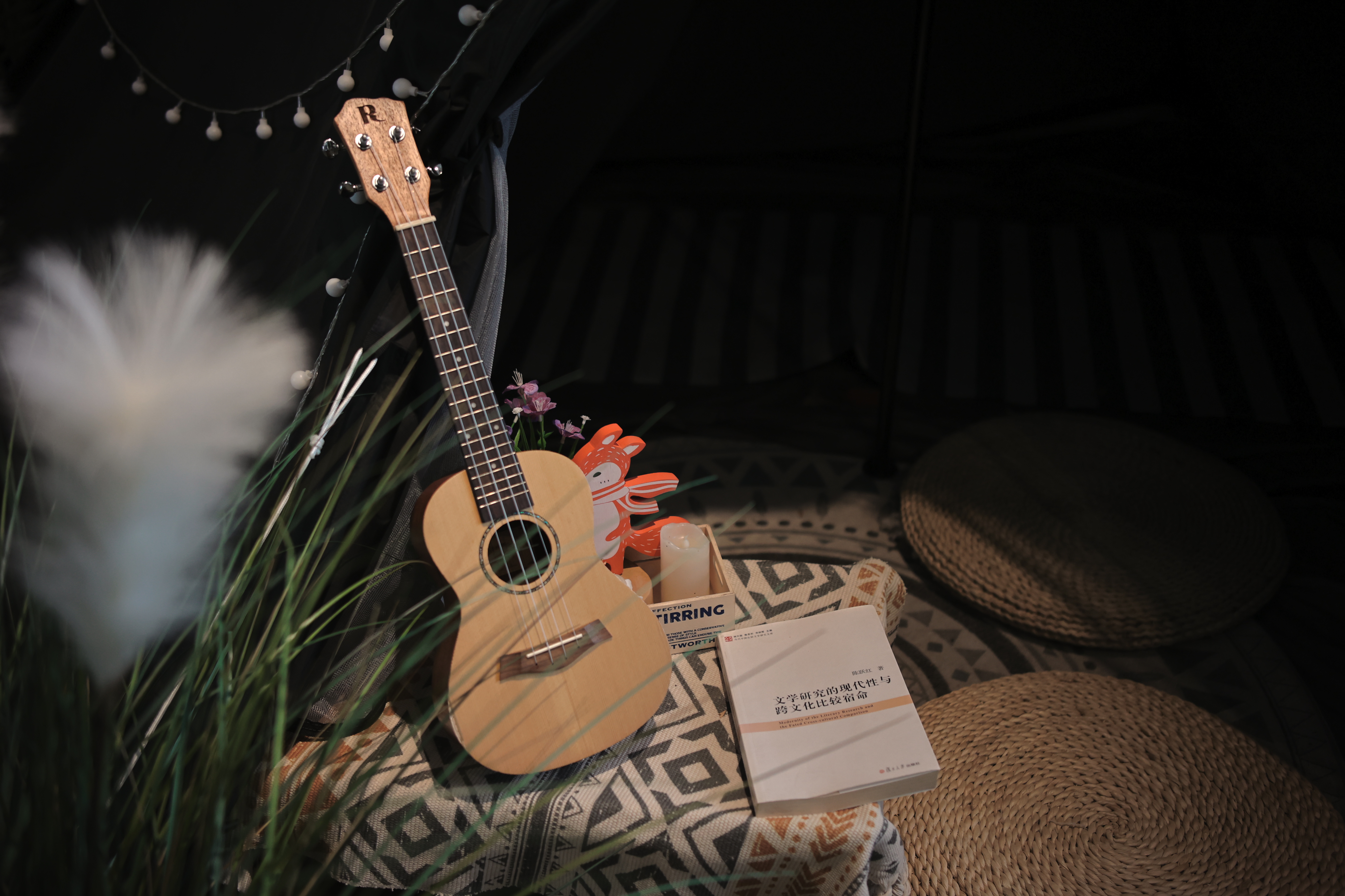 35mm镜头的最佳拍摄距离,摄影新手适合35毫米镜头吗