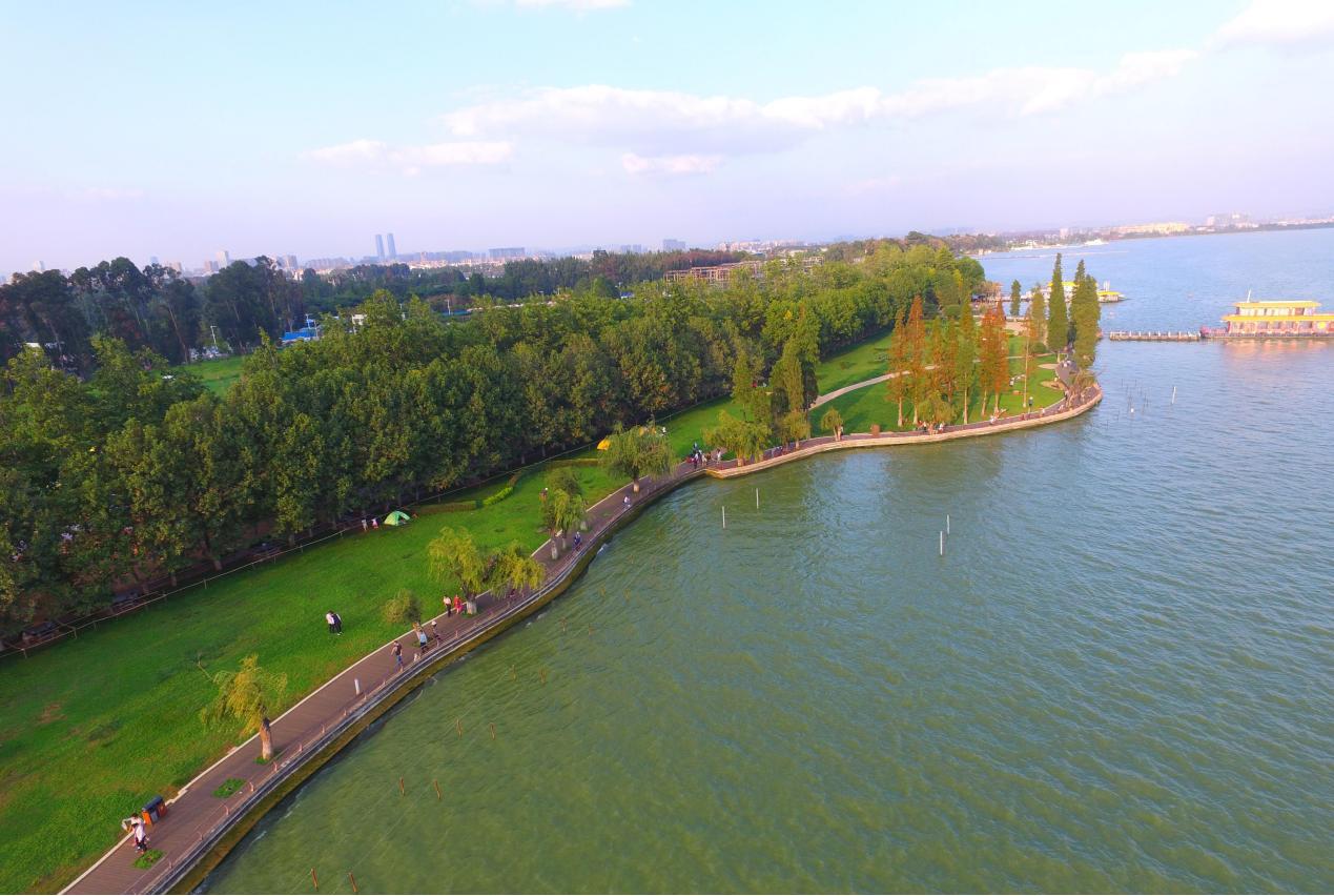 水葫芦防治与危害,怎样防止水葫芦泛滥