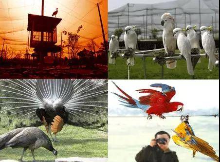 藏在上海的海边伊甸园，欧式建筑的贵族度假之旅，网友：不能错过