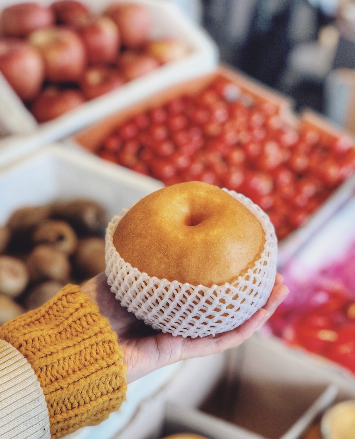 3000元即可出国旅游的7个好去处,小众便宜的出国旅游地