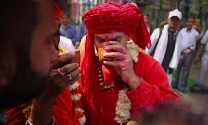 牛尿治新冠病毒,印度牛尿治新冠现场