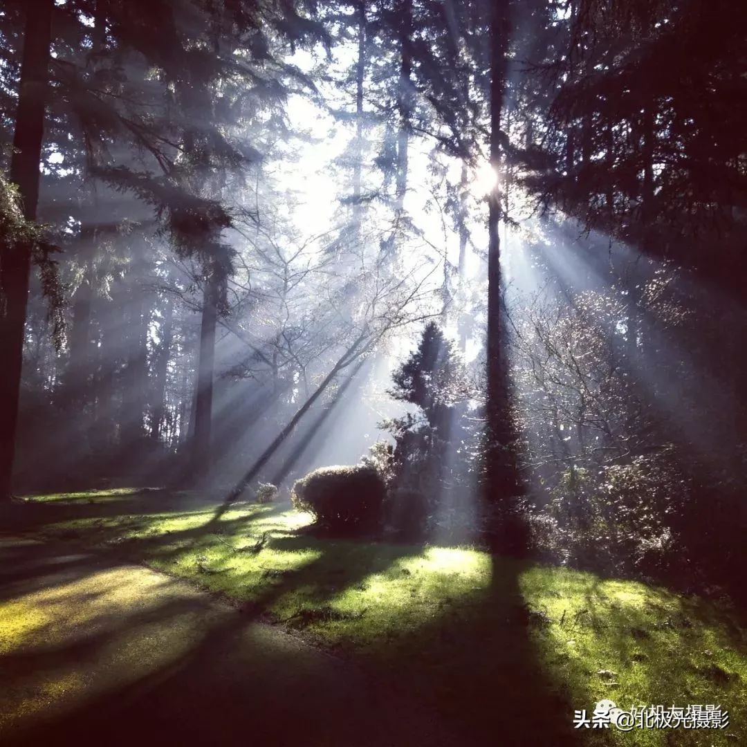 富士50mm和35mm镜头哪个好,56mm1.8定焦镜头