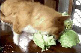 起床后要不要喝杯水？养成这20个好习惯让你受益终生