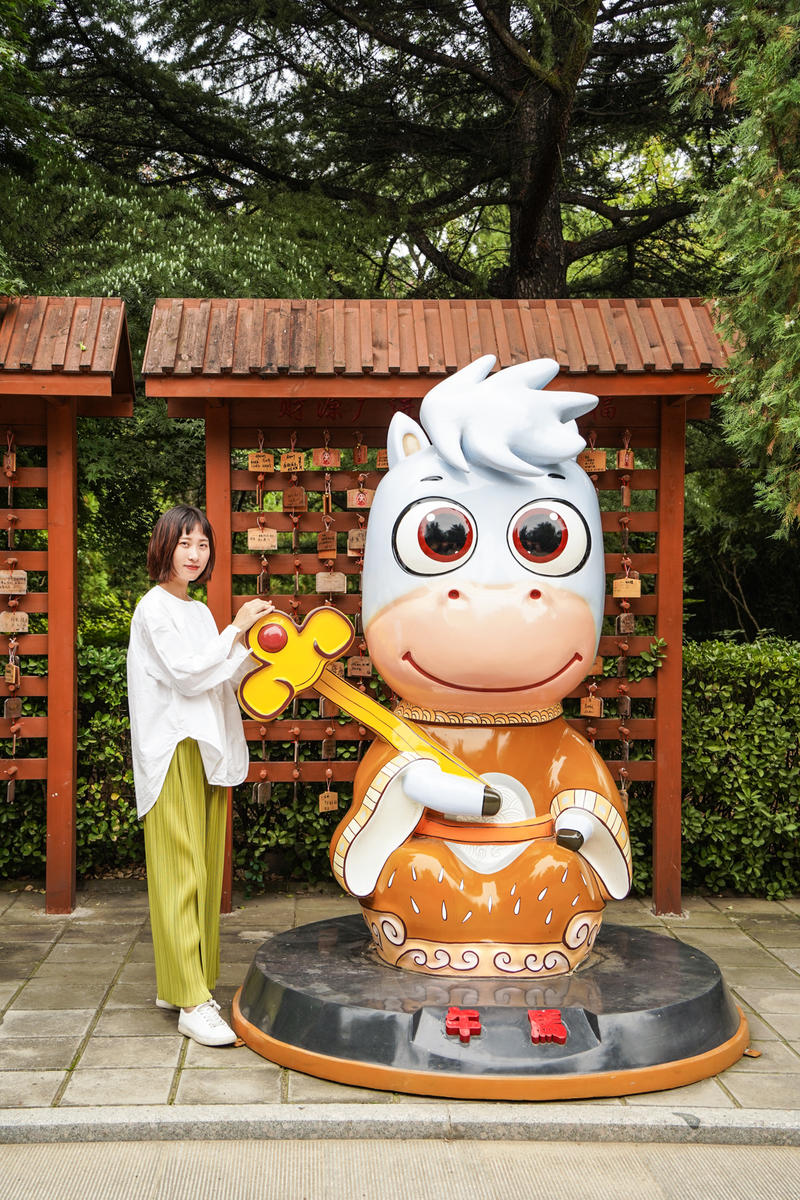 山东周边游2天1夜小众,5.1山东五日游