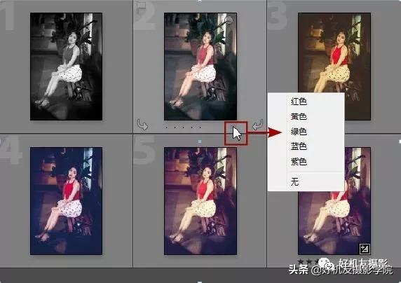 如何管理照片的技巧,照片太多了用什么软件整理