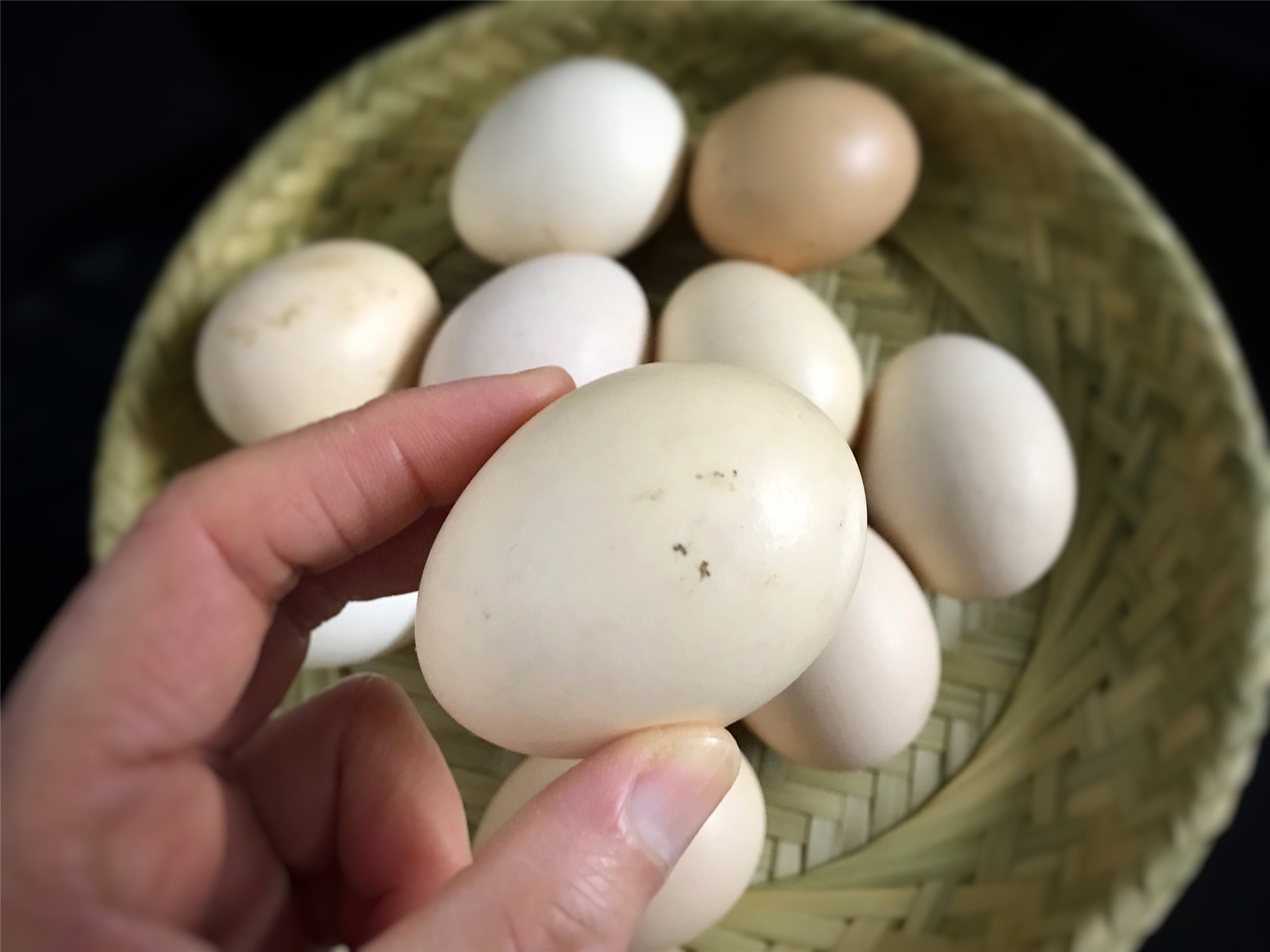 鸡蛋是放在冰箱保存还是常温保存,大批量鸡蛋保存一年不坏的方法