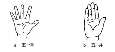 自然手语学习教程,自然手语和标准手语