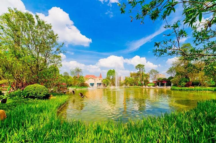 看房日记｜南湖片区优质改善楼盘到底值不值得购入？