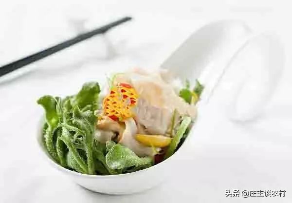 冷菜高档创意菜及做法,大师新菜7款最新创意冷菜做法