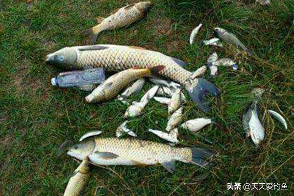 滑漂钓法最合理的线组搭配,滑漂钓法线组大小选择