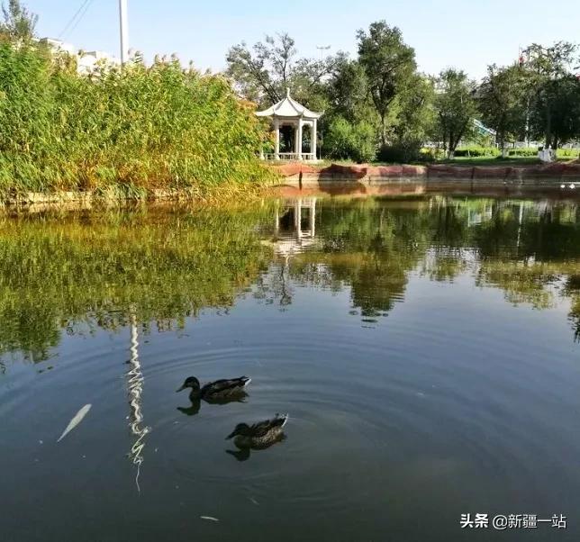 老城回忆乌鲁木齐,乌鲁木齐值得回忆的地方