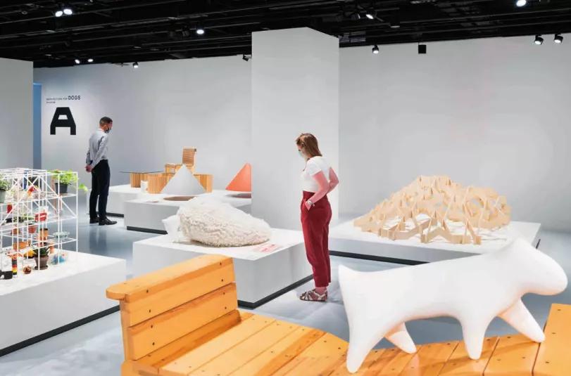 为了养狗装扮了一个房子,为狗狗设计的房子