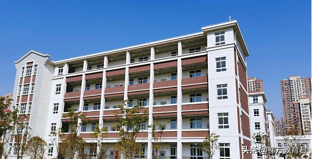 沪上今年新建15所初中!世外、复旦、未来科技!对口这些地段