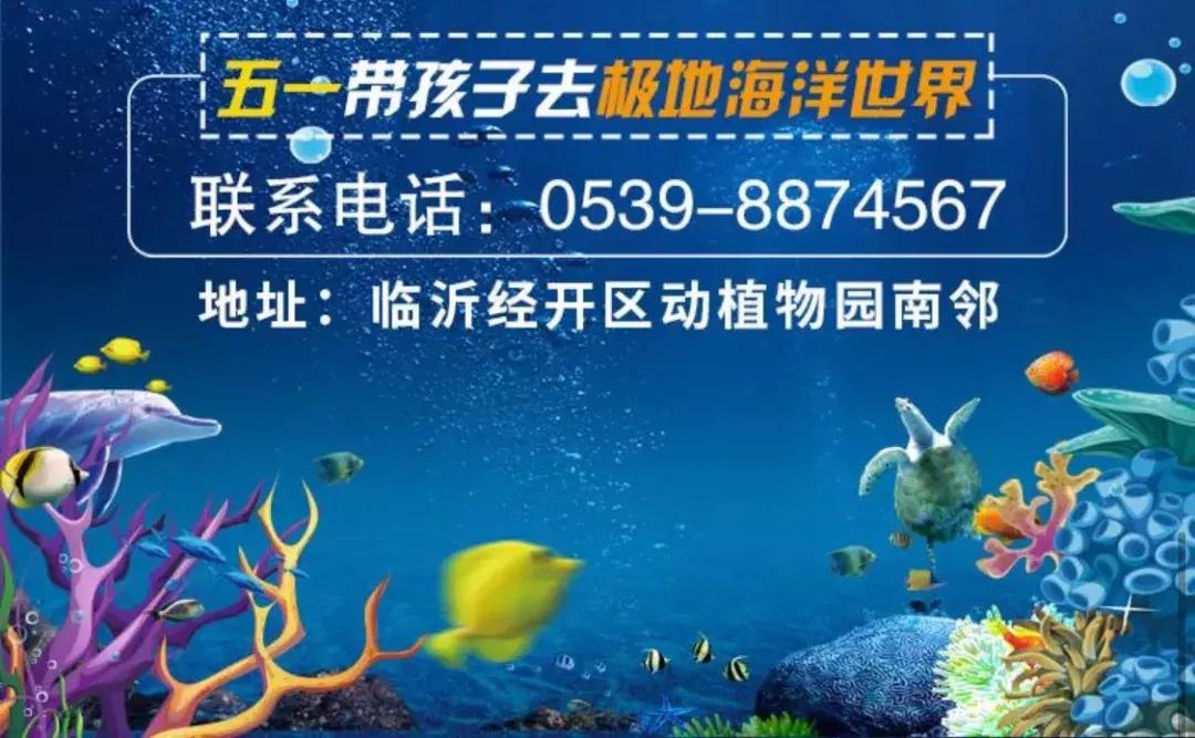 临沂极地海洋世界五一特惠,临沂极地海洋世界门票多少钱