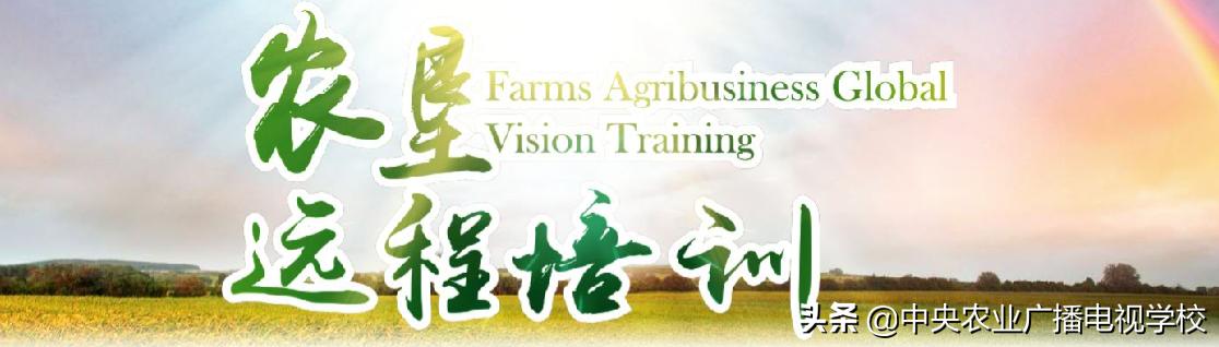 甘肃农垦培训,农业农村厅远程教育培训