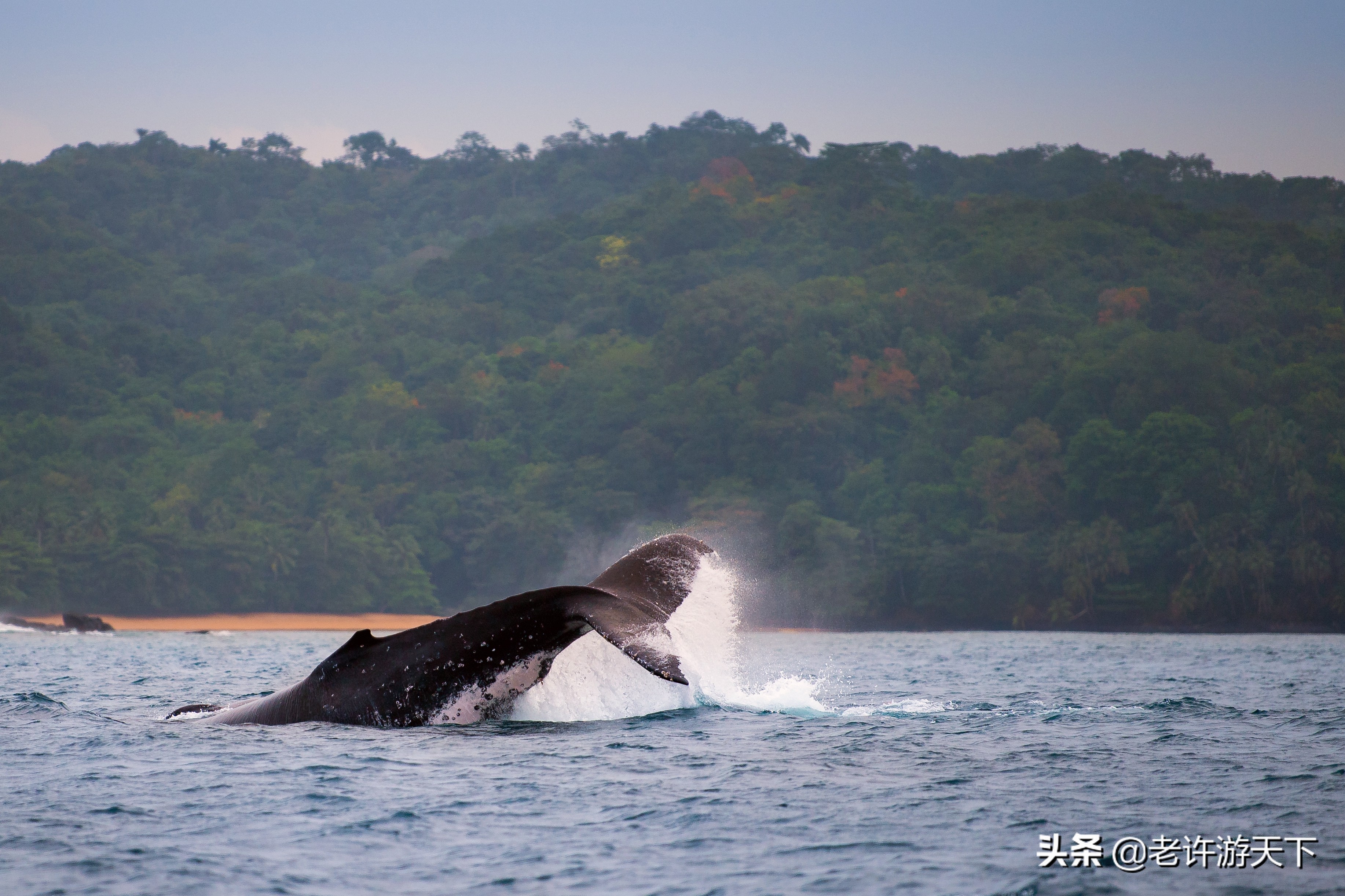 世界有名的海岛旅游胜地,世界10大最奇特海岛