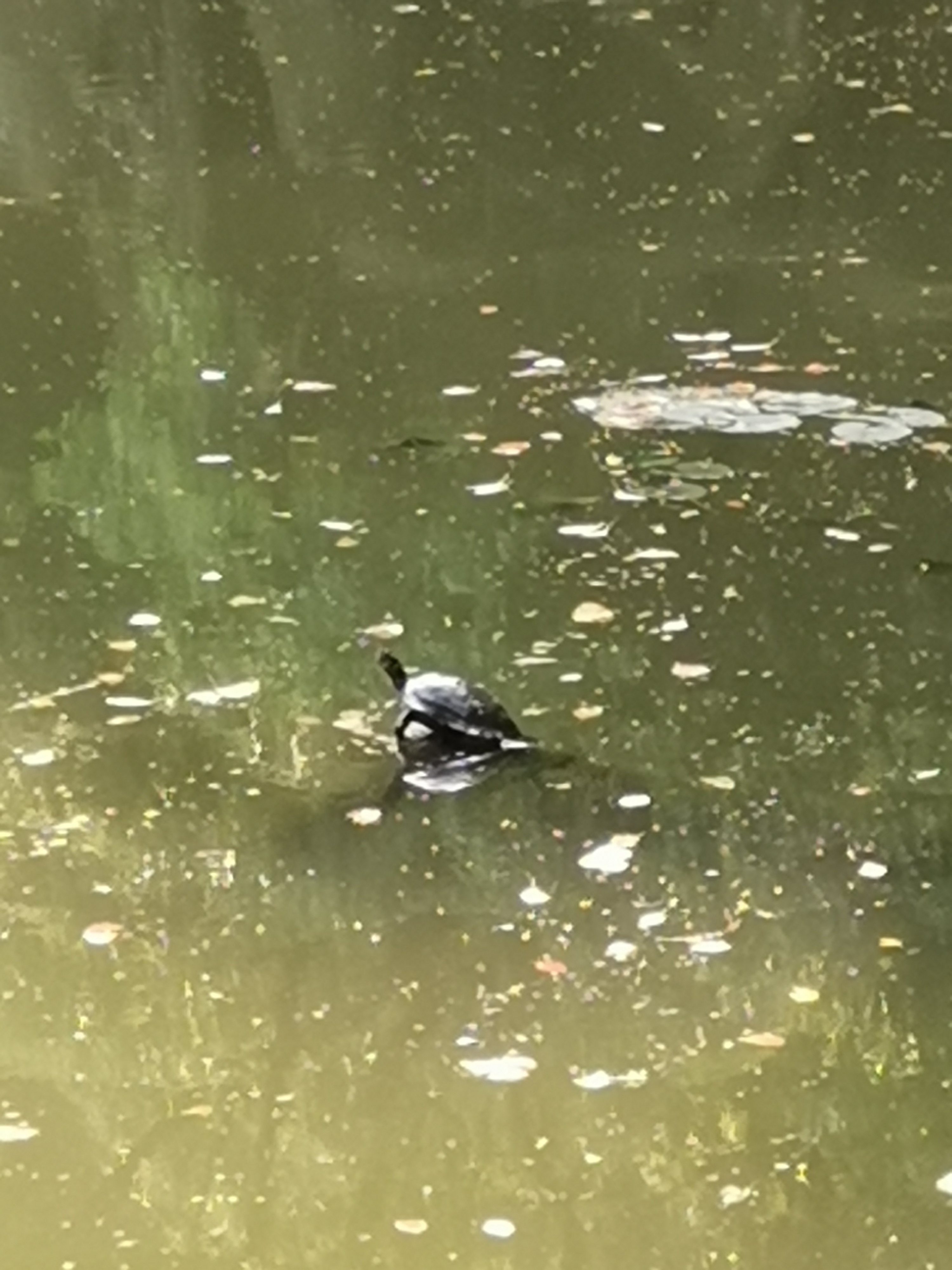 天池山景区和天池山影视基地,天池山影视基地到天池山景区