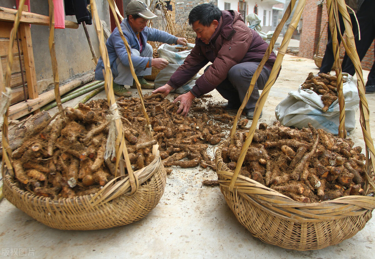 九江网红瓦罐汤哪家最好,九江美食四菜一汤