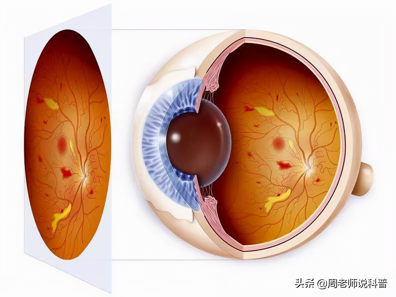 一区马牵出电影的发明史，除了发明故事，电影还有这些趣味知识