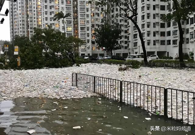 全国人民看江浙沪,上海垃圾分类现在怎样了