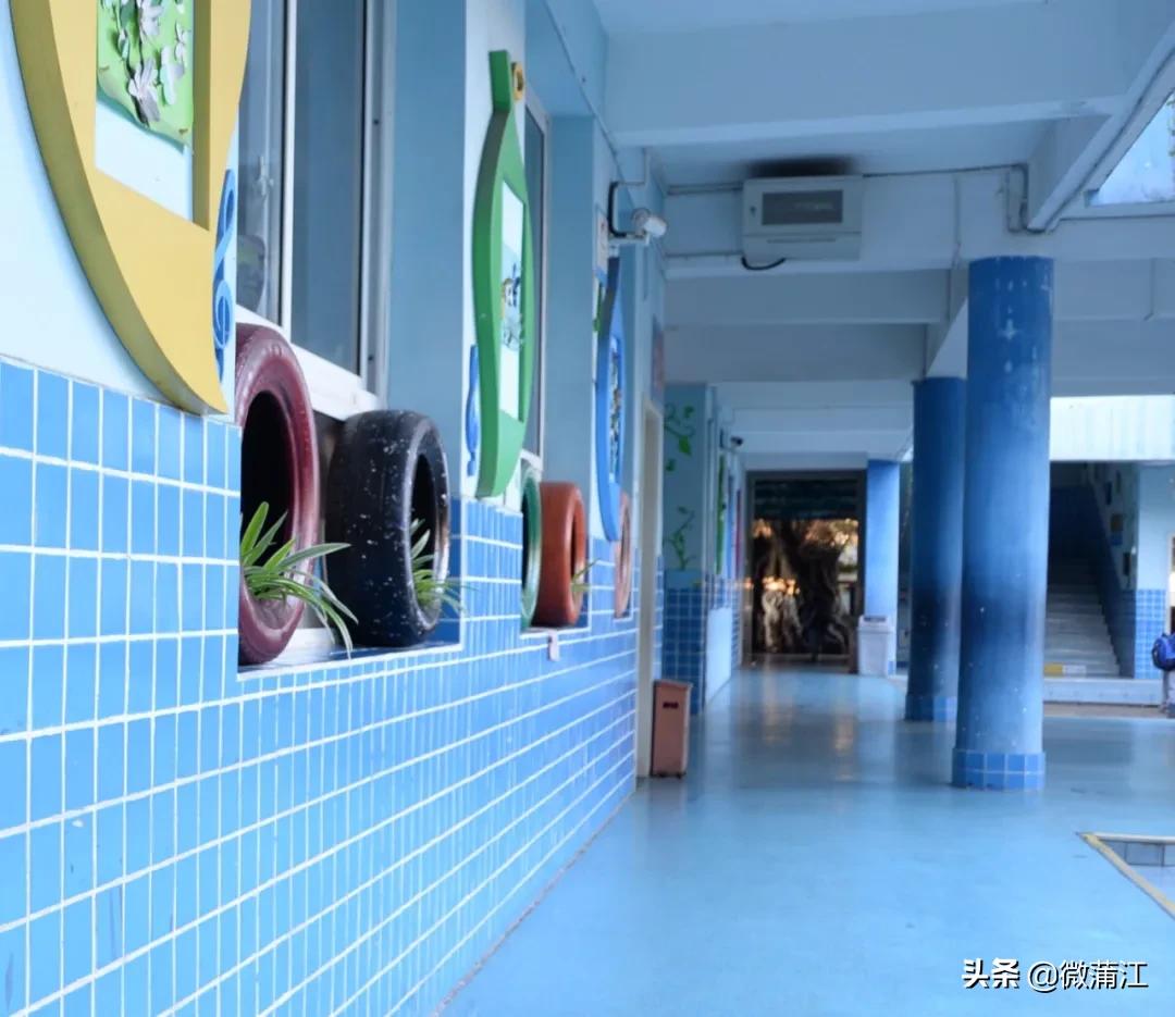 泡桐树小学蒲江分校图片,泡桐树小学蒲江分校怎么样