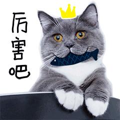 一分钟看懂凉皮,看懂了白鹿原就看懂了人性