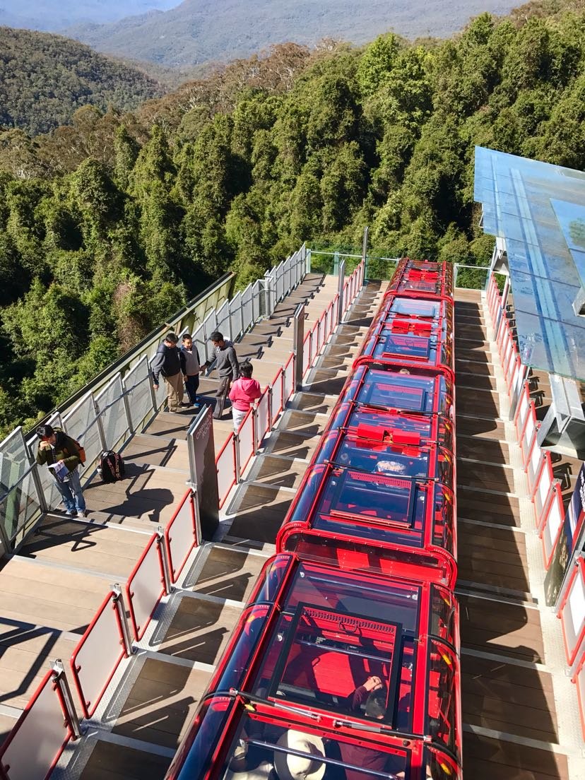 初游澳洲，从冬天飞往夏天——悉尼蓝山+墨尔本大洋路7天经典路线