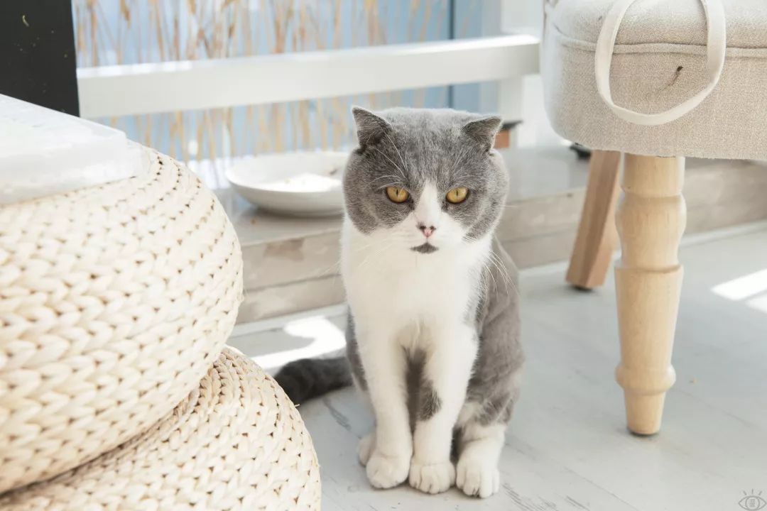 南山科技园有什么玩的,深圳南山科技园游玩