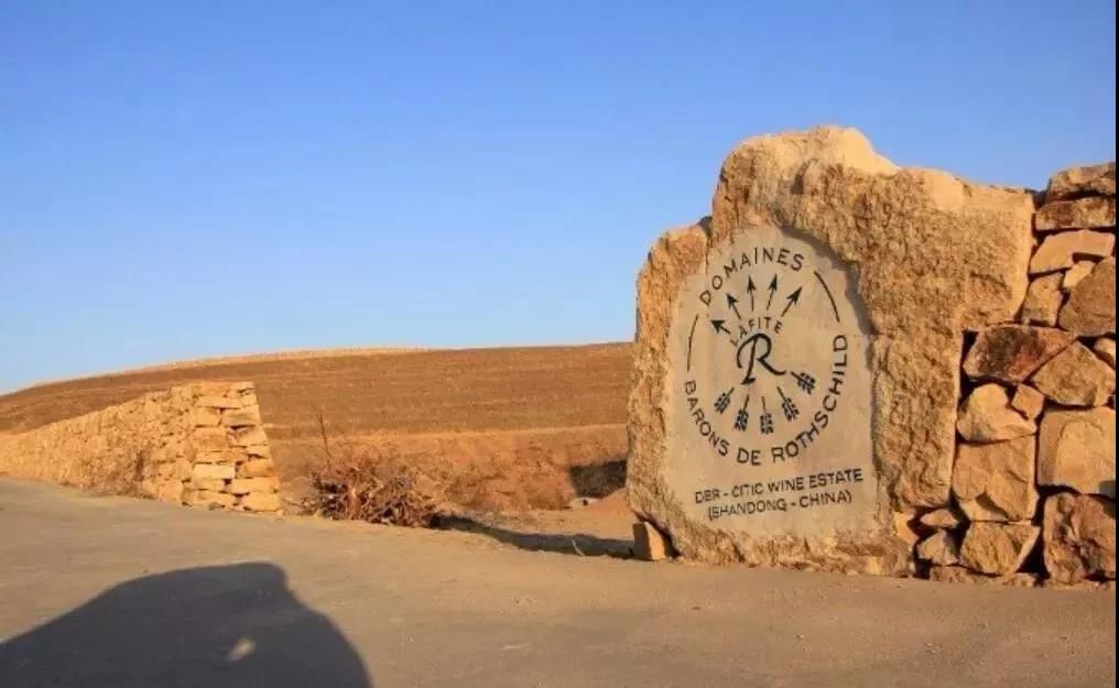 蓬莱拉菲酒庄位置图,拉菲蓬莱珑岱酒庄正式开庄