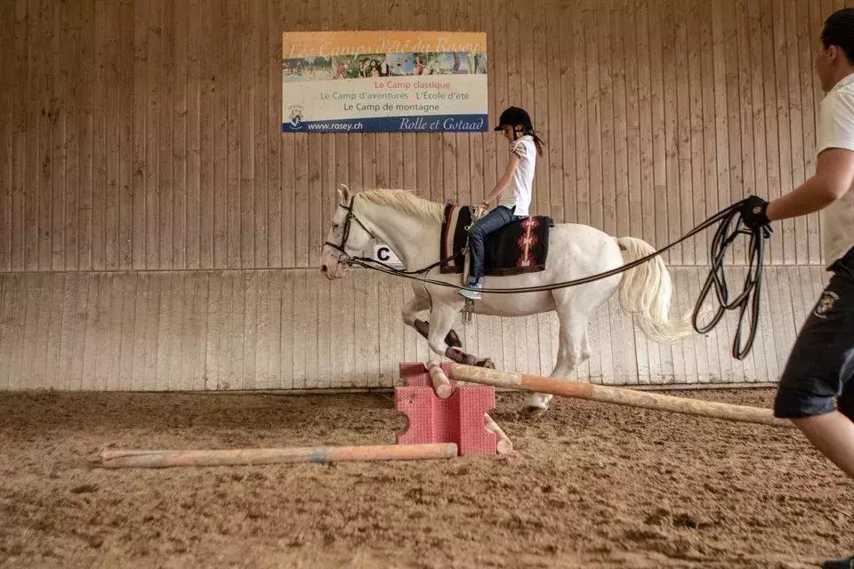 世界最贵贵族学校,世界最贵十大学校