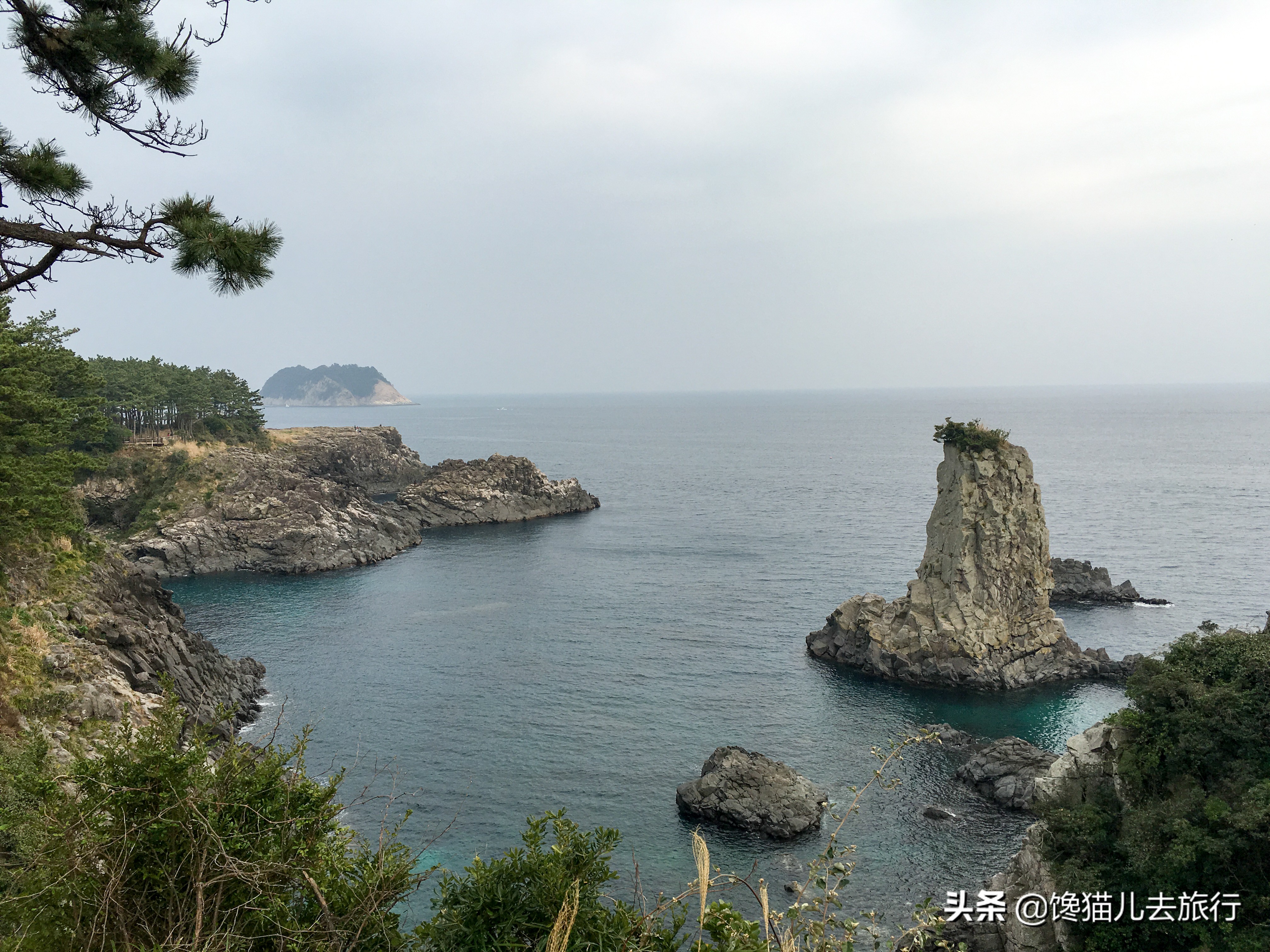 韩国人“看上”青岛，网友：对不起，我们不约