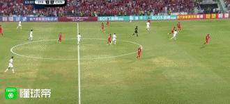 野牛加入国家队,野牛入选国足