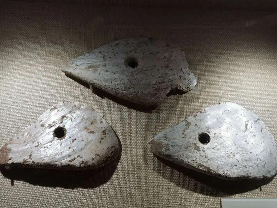 横县鱼生二十四种配料,舌尖上的广西横县鱼生第一刀