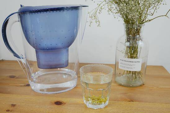 碧然德净水壶买哪一款,碧然德净水壶海洋系列